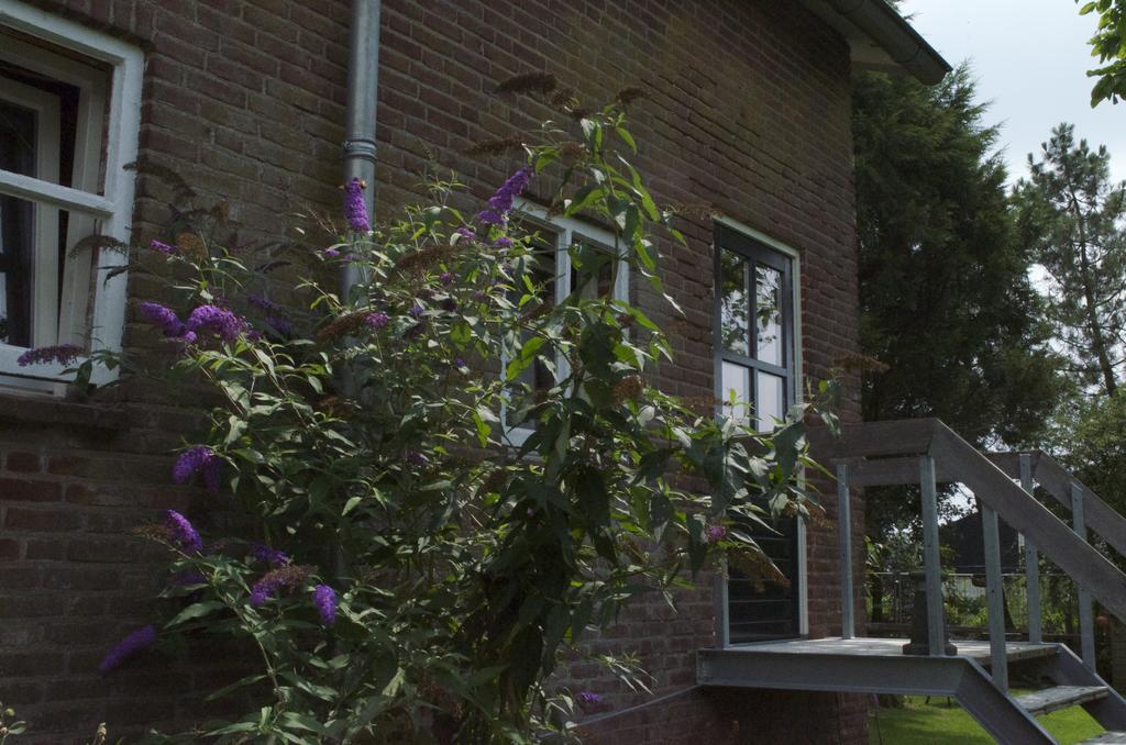 Kessels Heerlijkheid Hotel Maren-Kessel Buitenkant foto
